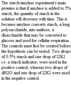 Lab Report 1